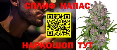 ECSTASY Аргун