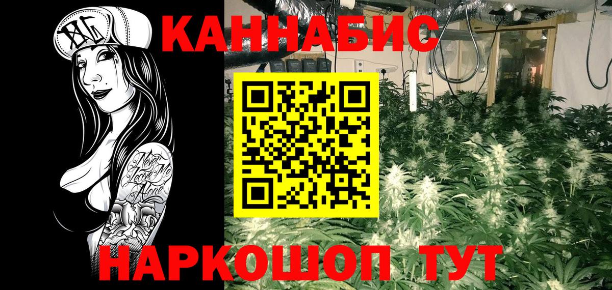 Бошки Шишки гибрид Артём